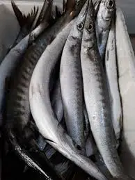 Melifa   sferni مليفا سفرني